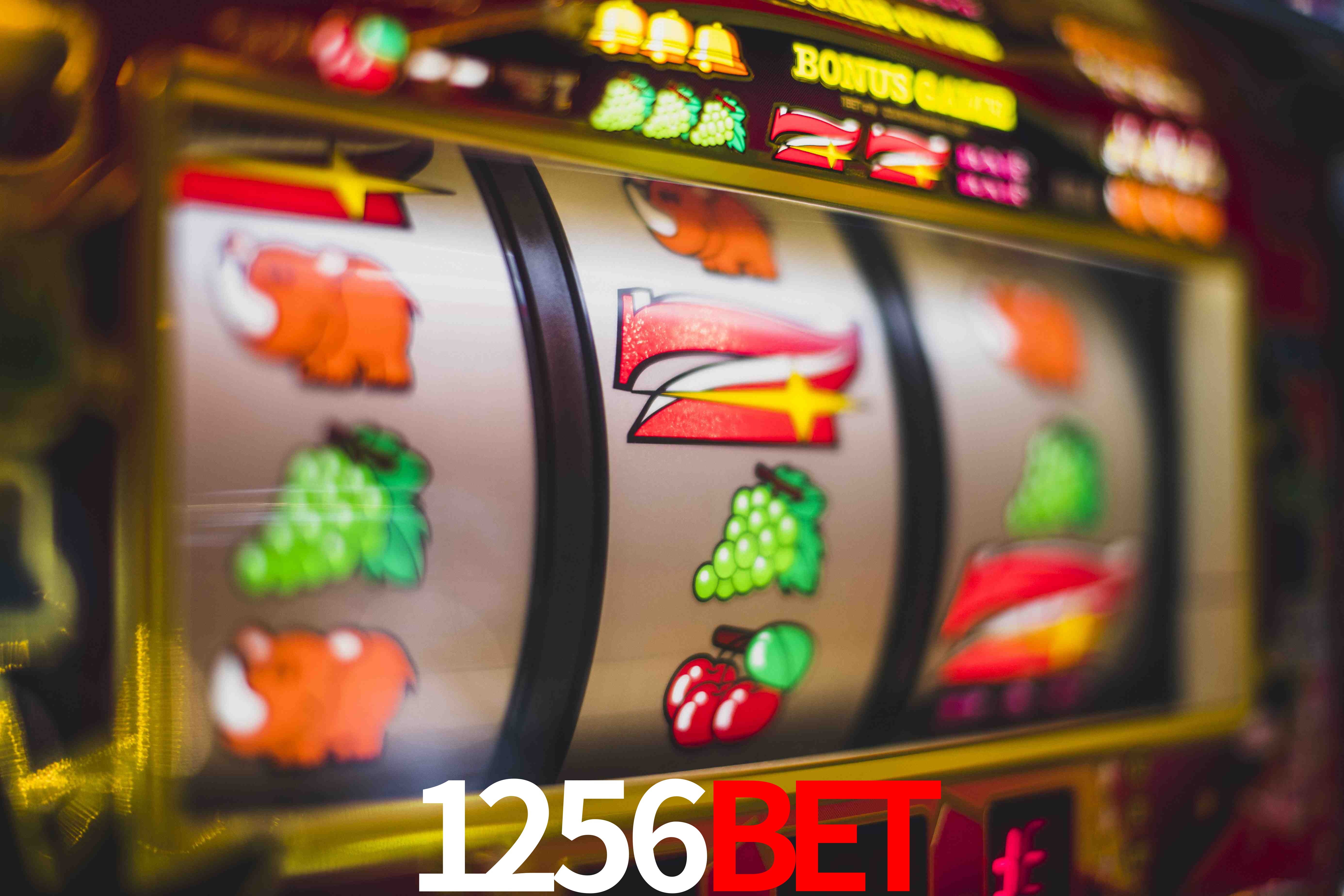 Sports Statistics 1256bet